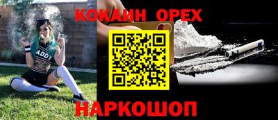 дмт Гай