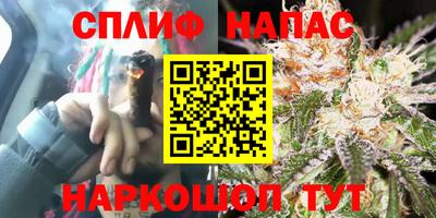 гидра Апшеронск