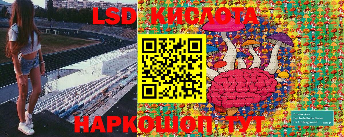 Наркотические марки  Новодвинск  Наркотические марки 1500мкг  Наркотические марки 1500мкг 