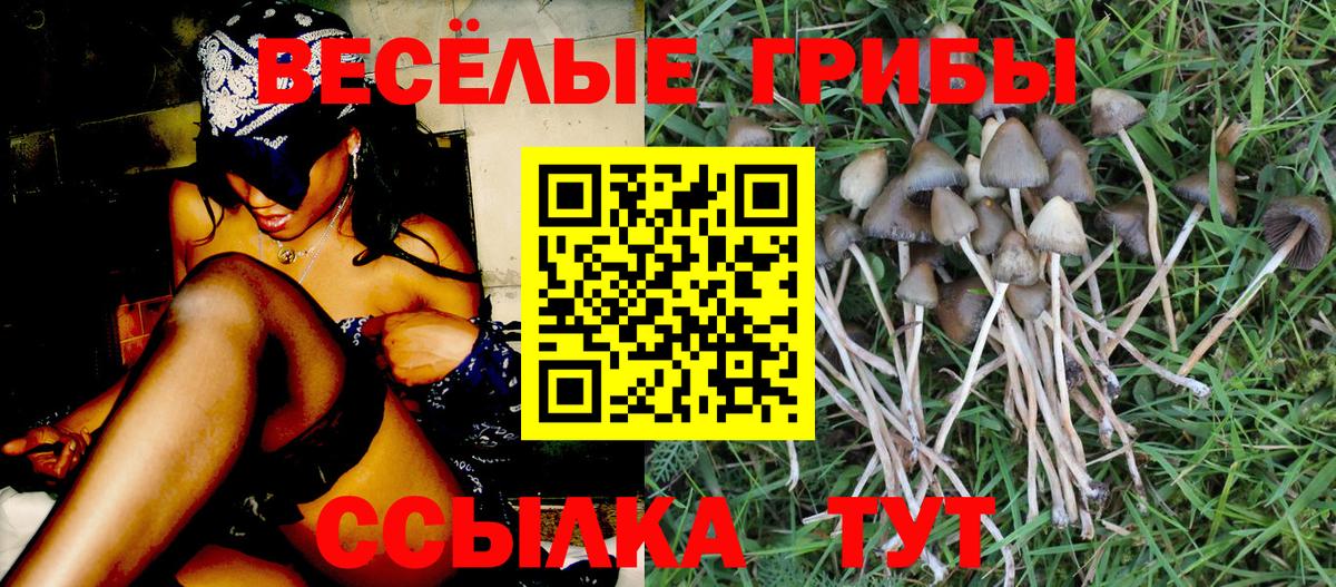 Галлюциногенные грибы мицелий Новодвинск